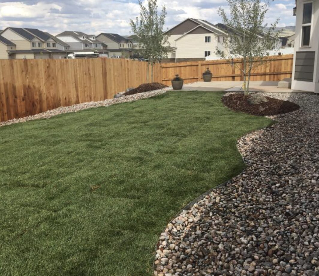 Completed backyard lawn and landscape