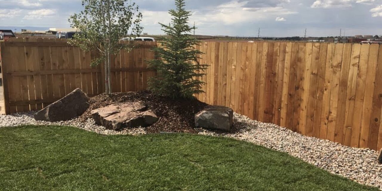 Landscaped backyard with sod, rock, trees, boulders, and fence